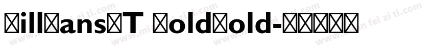 GillSansMT BoldBold字体转换